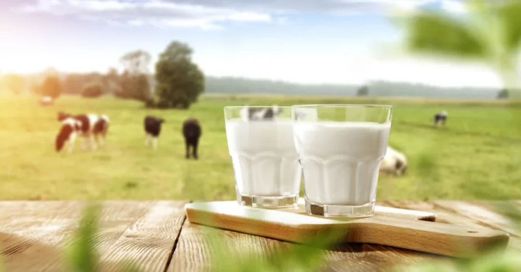 Kirkland organic milk review