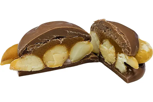 Macadamia Nut Turtles